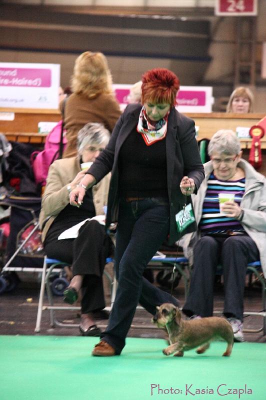 Crufts2011_2 1485.jpg